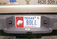 License Plate