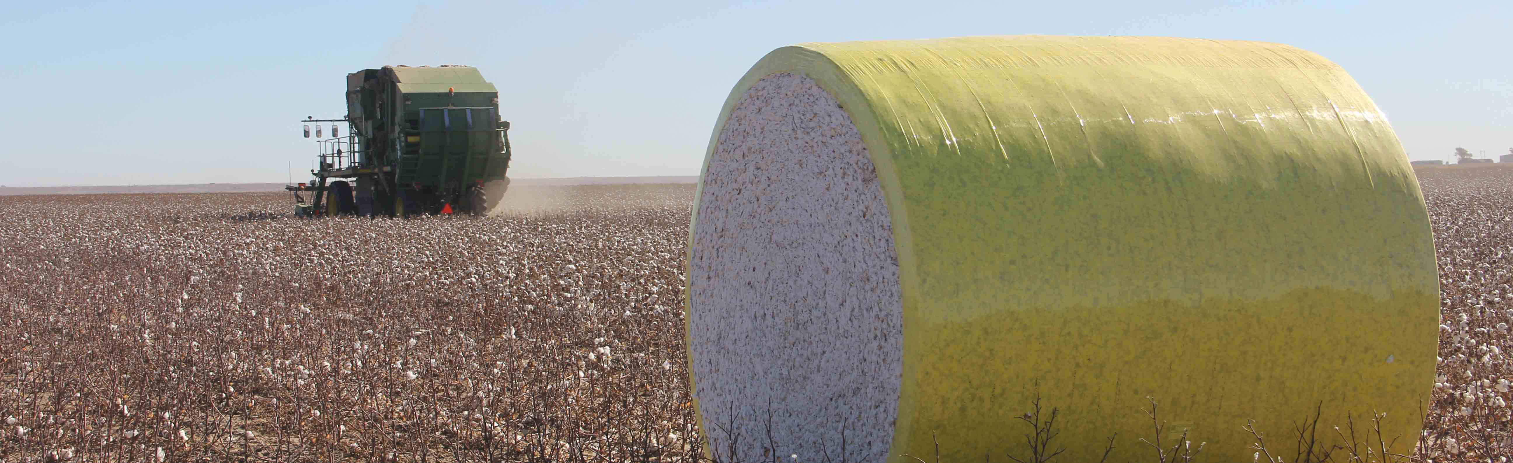 Kansas Cotton Harvest